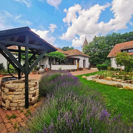 Apartamento Videki Haz Tagyon Exterior foto
