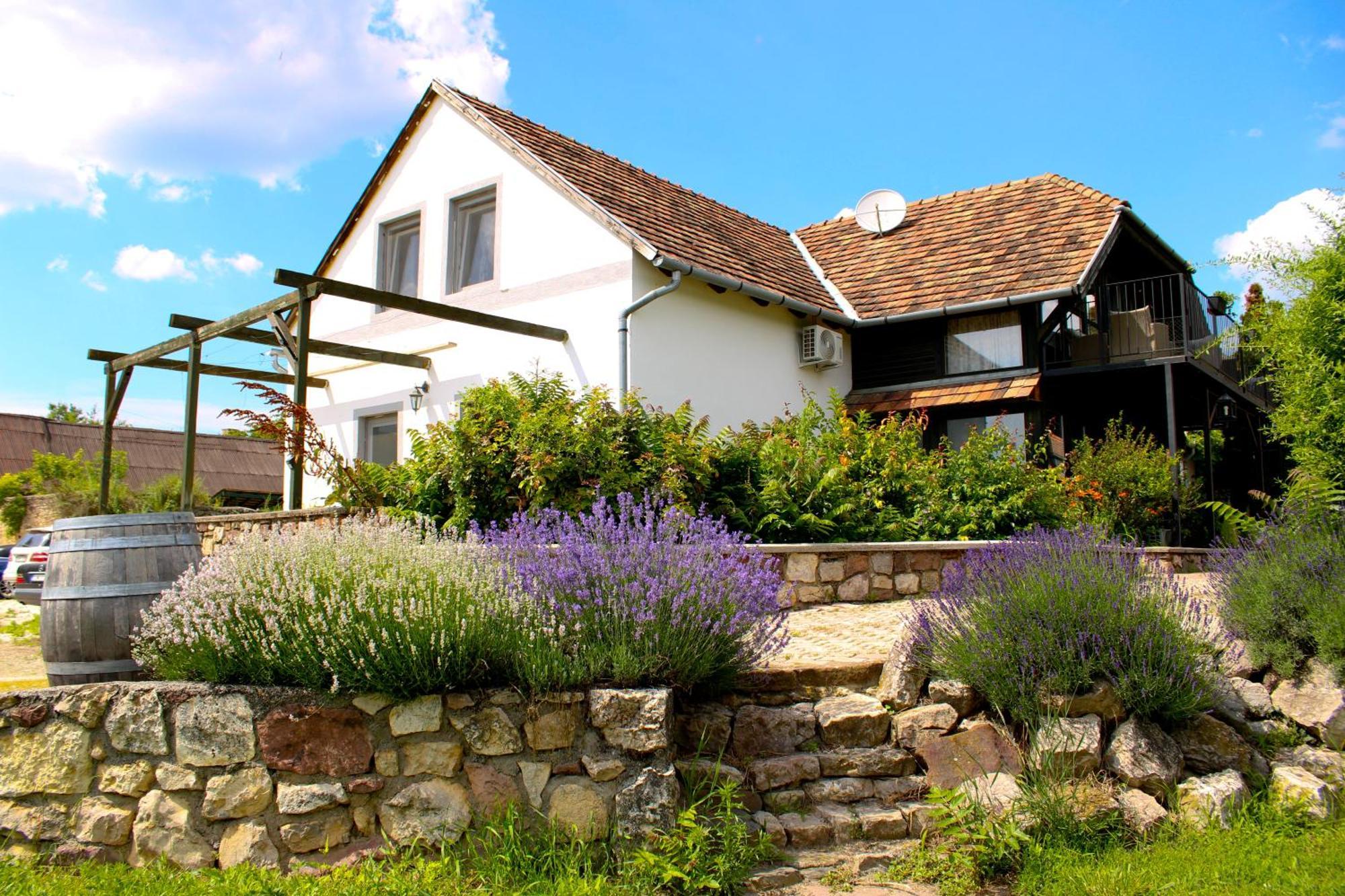 Apartamento Videki Haz Tagyon Exterior foto