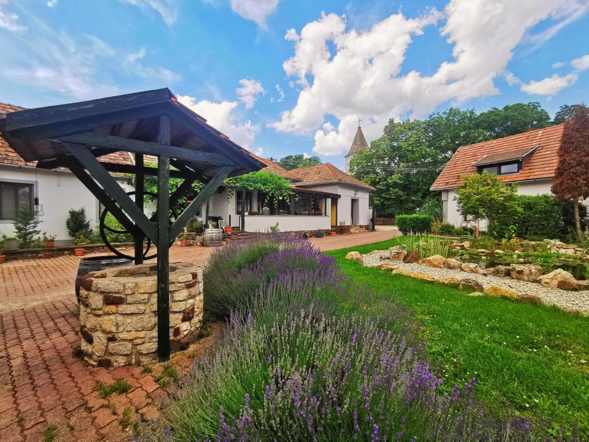 Apartamento Videki Haz Tagyon Exterior foto